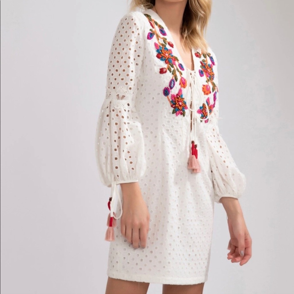 NWT PatBo Eyelet Dress w Embroidery & bead detail - Picture 3 of 7